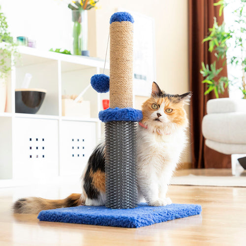 Cat Scratching & Massage Post with Ball – Interactive Play & Claw Care