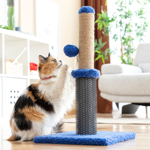 Cat Scratching & Massage Post with Ball – Interactive Play & Claw Care