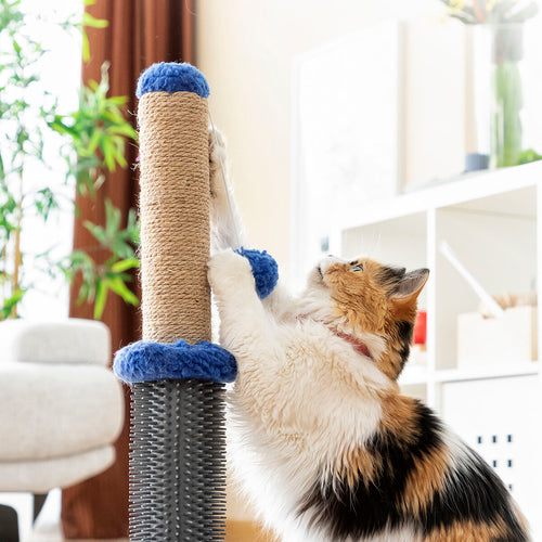 Cat Scratching & Massage Post with Ball – Interactive Play & Claw Care