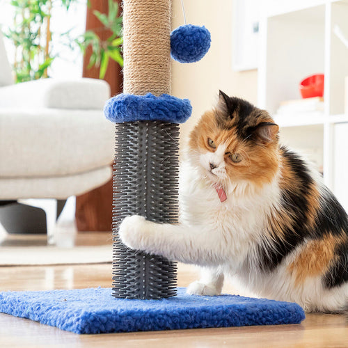 Cat Scratching & Massage Post with Ball – Interactive Play & Claw Care